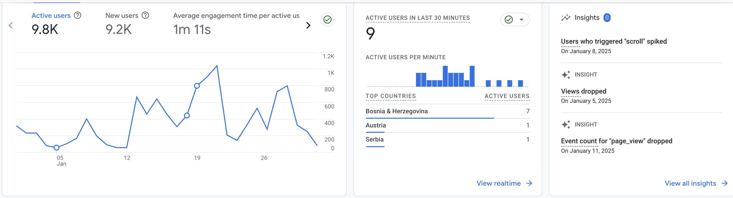 plenum.ba analitics image