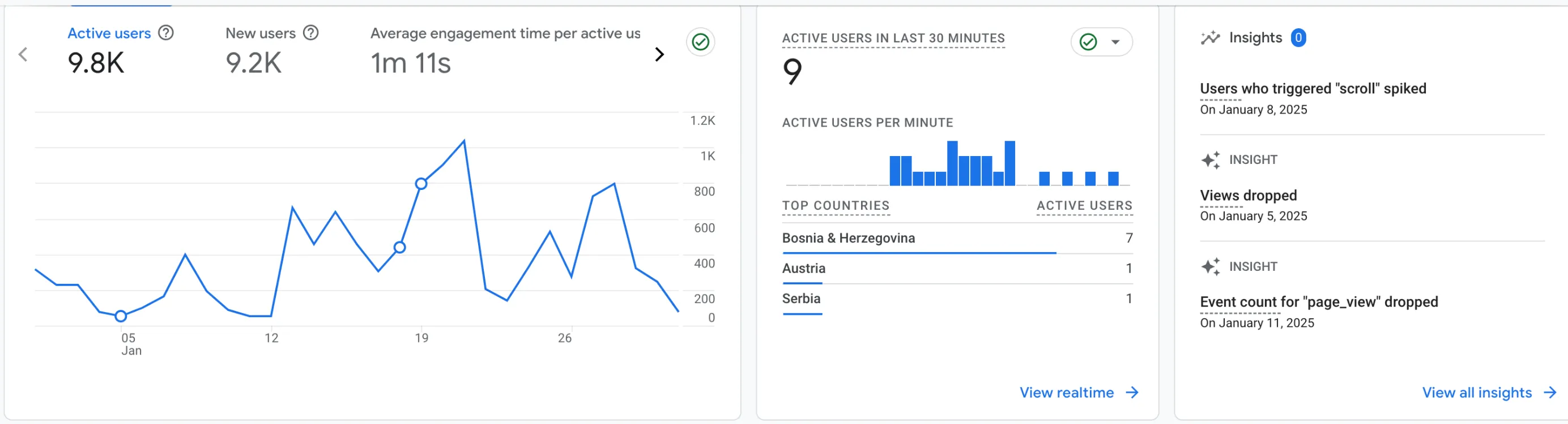 plenum.ba analitics image